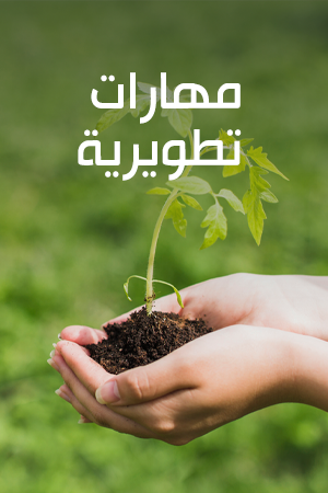 المهارات الأساسية